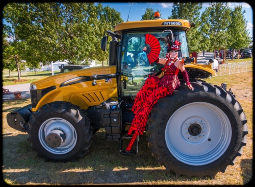 Tractor Belle
Larimer County Fair & Rodeo